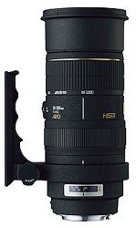Amazon | シグマ 50-500mm F4-6.3APO EX DG HSM ニコン用