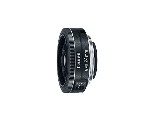 Amazon.com : Canon EF-S 24mm f/2.8 STM Lens : Electronics