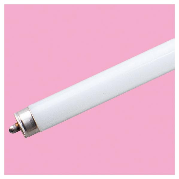 Amazon | プリンス電機 スリムライン 白色 FSL42T6W 1本【 蛍光ランプ