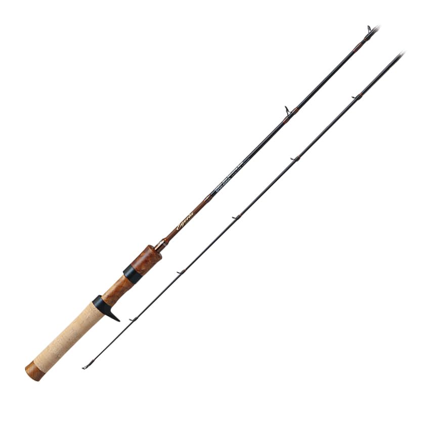 Amazon | パームス(Palms) エゲリア ネイティブパフォーマンス EFVC