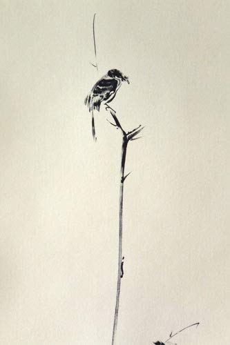 Amazon.co.jp: 掛軸 宮本武蔵 複製画枯木鳴鵙（枯木にもず）(掛け軸 尺