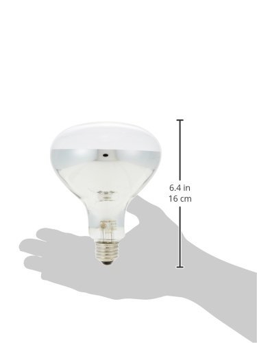 Amazon.co.jp: 岩崎電気 省電力形屋外投光器用ランプ 屋外用アイ