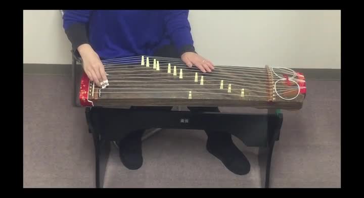 A⚪︎175 ゼンオン 文化箏 羽衣 ソフトケース付き Amazon.co.jp