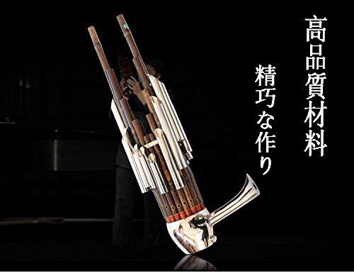 Amazon.co.jp: Waymall 笙（しょう）入門セット 17本簧 手作り バッグ