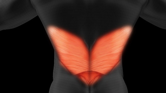 Amazon.co.jp: Vendiana EMS腹筋ベルト フィットレスベルト2個セット