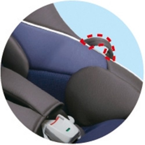 Amazon.co.jp: コンビ ゼウスターン ユーロ EG TB ユーロブラック