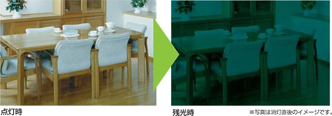 Amazon | NEC 丸形スリム蛍光灯(FHC) LifeEホタルックスリム 41形