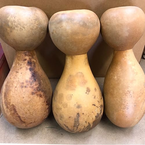 Amazon | イプヘケ 高さ52.5cm前後 胴回り68cm前後 Ipu heke楽器 Hula