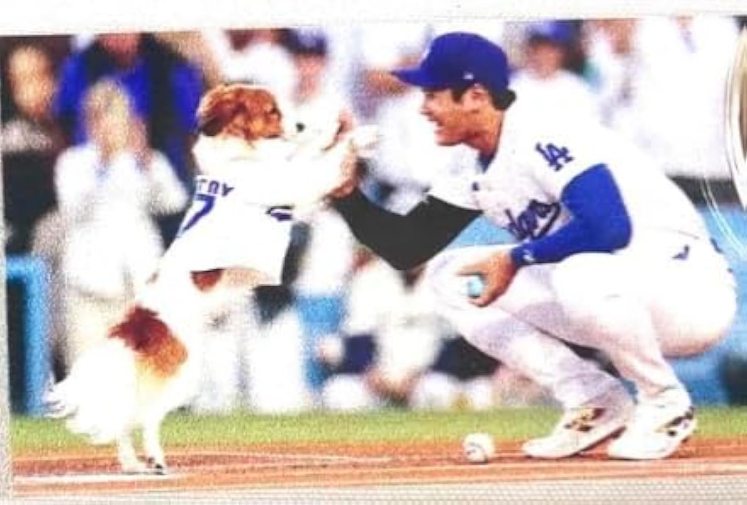 Amazon.co.jp: [MLB] 大谷翔平 & デコピン キーホルダー “MVD” Most