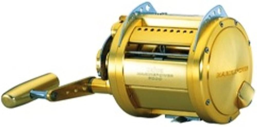 Amazon | ダイワ リール マリンパワー 3000 | ダイワ(DAIWA) | 電動リール