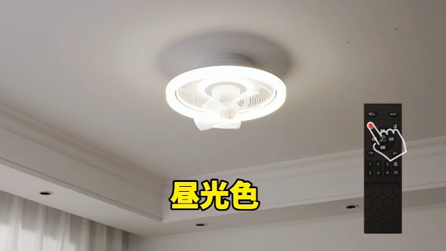 Amazon.co.jp: ZXhome