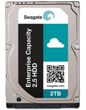 Amazon.com: Seagate Enterprise ST2000NX0253 2 TB 2.5