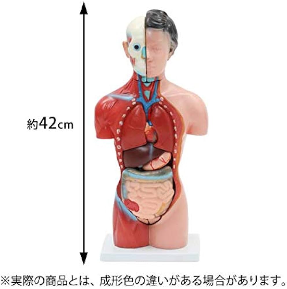 41gLkqg3A4L._AC_UF1000,