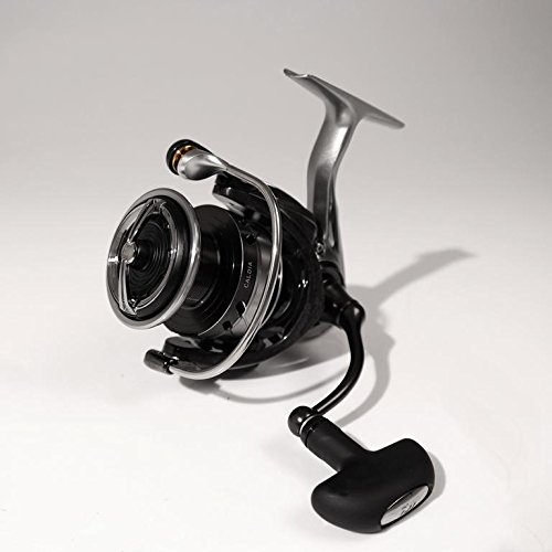 Amazon | ダイワ(DAIWA) カルディア 18 LT 2500D | Daiwa | 船竿