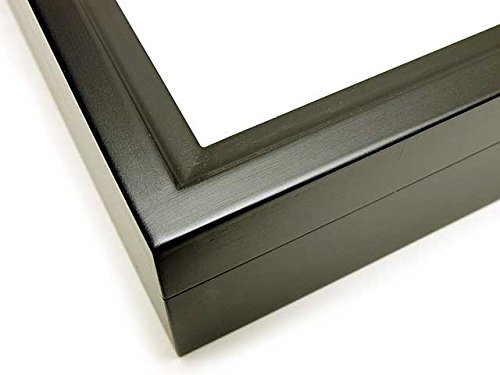 Amazon | 大型ドイツ型標本箱（黒） | 生態・採集 | おもちゃ