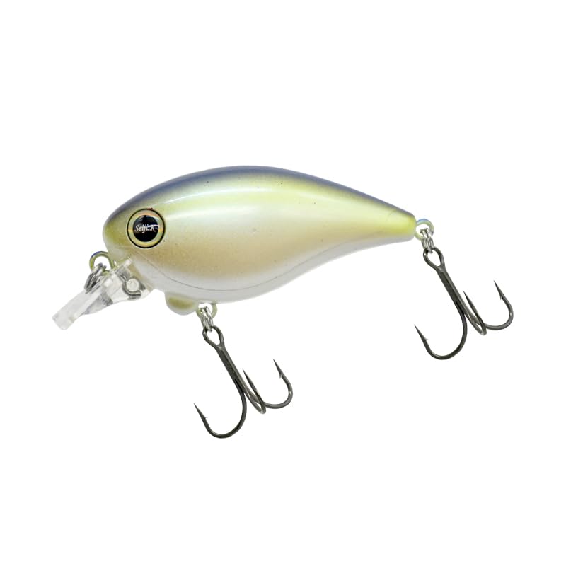 レヴォニック ドットシックス Amazon.co.jp: レヴォニック REVONIK Dot