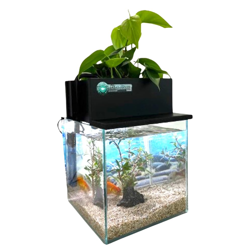 Amazon | せせらぎビオトープ 水替え不要【水槽セット】 20cm型 【色