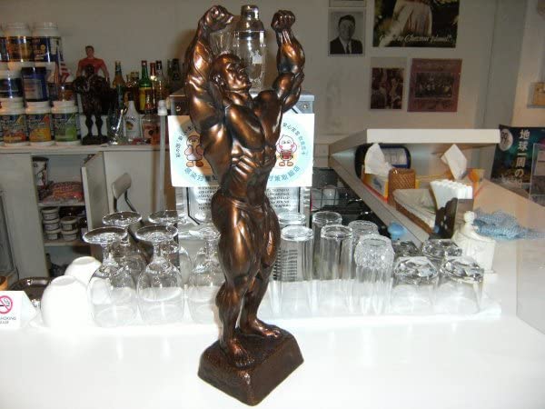 Amazon.co.jp: 選手権大会 ボディビル トロフィーゴールドジム