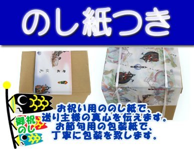 Amazon | 【家紋・名入れ対応】【庭園鯉のぼり】5m黄金金箔鯉のぼり金