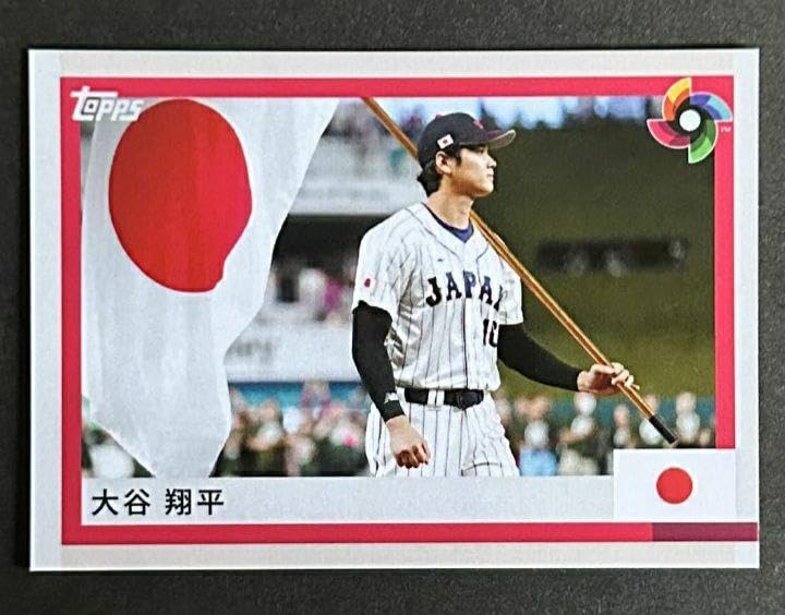 非売品】大谷翔平 2014 セ・パ交流戦入場特典 配布限定カード 二刀流