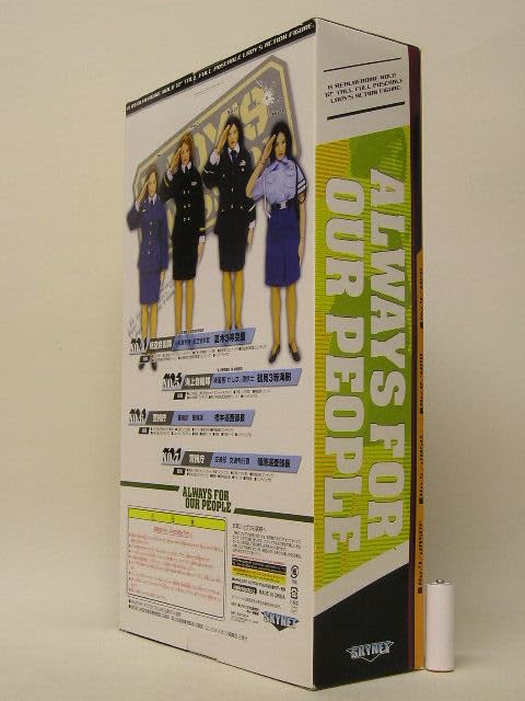 レーディス ミッション 1/6 航空自衛隊 夏木三等空曹 スカイネット