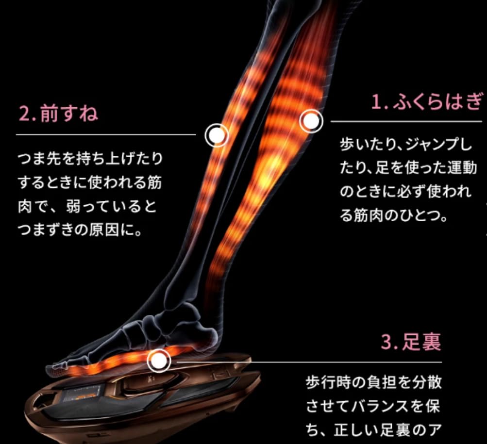 Amazon.co.jp: MTG SIXPAD シックスパッド フットフィット ブラウン SP