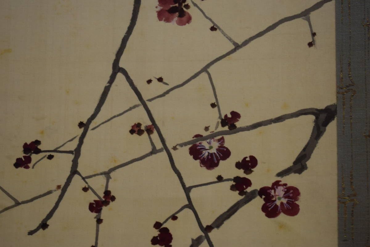 真作/菊池芳文/紅梅に雀図/紅梅に小禽図/桐共箱二重箱付/布袋屋掛軸HI-250