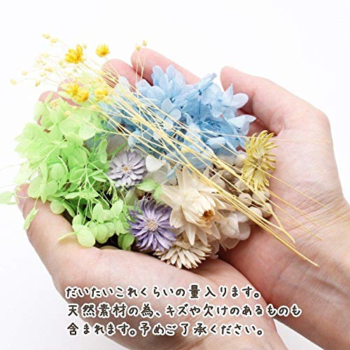 Amazon｜カラフルフラワー福袋 ハーバリウム 花材 材料 アロマワックス