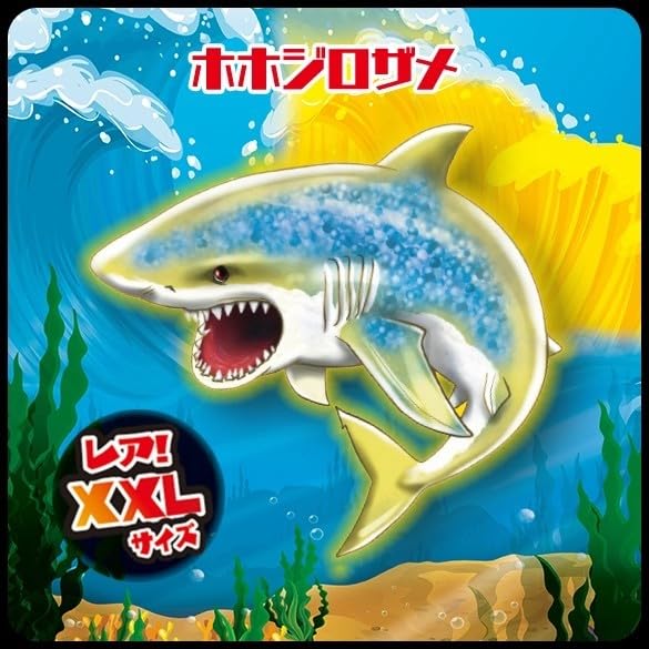 Amazon.co.jp: シャークアタック＆CO. シャークアタックアンドコ