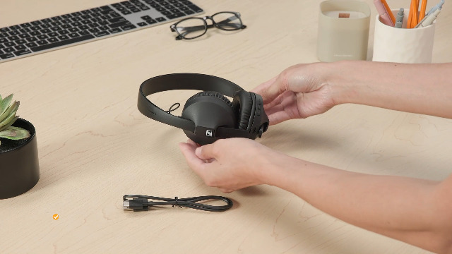 Amazon.com: Sennheiser Consumer Audio HD 250BT Bluetooth 5.0