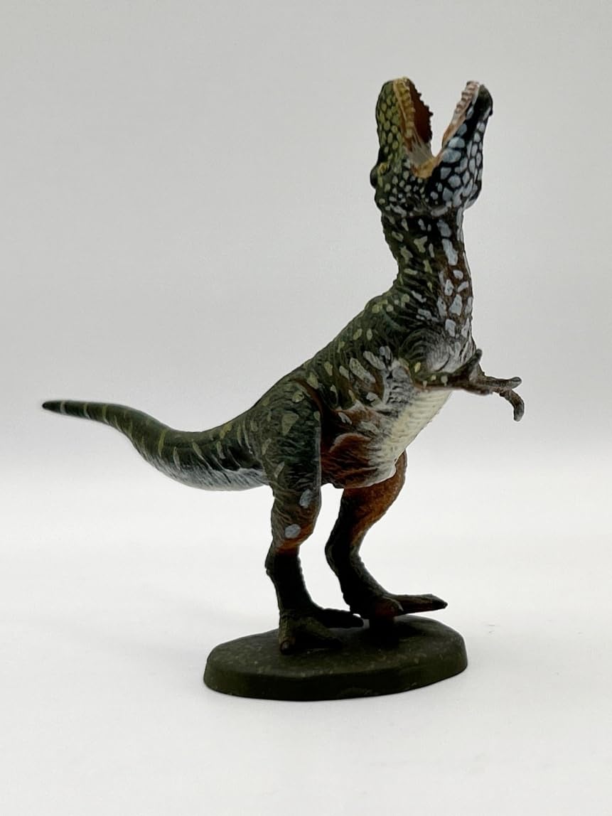 Amazon | 〓海洋堂〓ダイノテイルズ C.C.ザウルス 恐竜模型図鑑