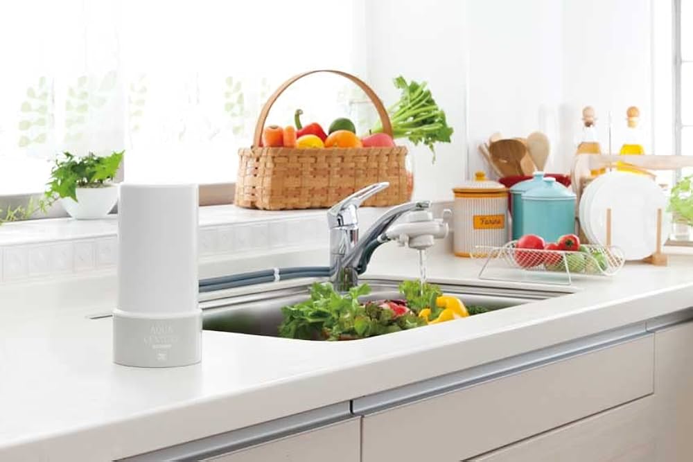 51hgakPiEoL._AC_UF1000,