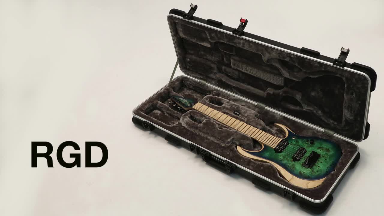 Amazon.co.jp: Ibanez アイバニーズ