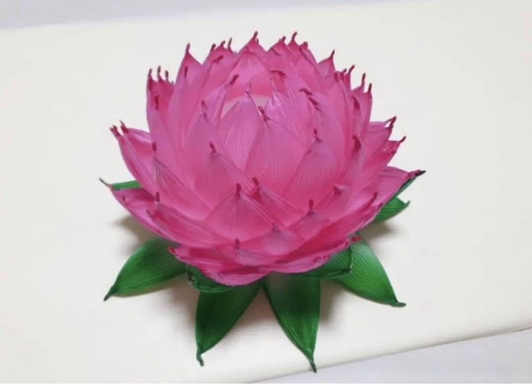 Amazon.co.jp: 入手困難 蓮の花紙 蓮紙 蓮ワーク 8色、計24束 : ホーム