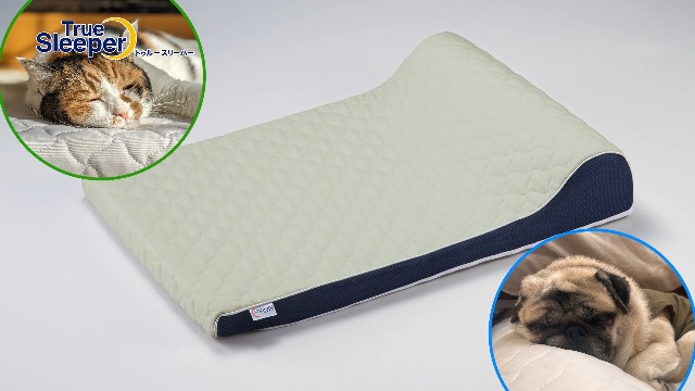 Amazon.co.jp: 【公式】トゥルースリーパー ペットベッド 小型犬/中型