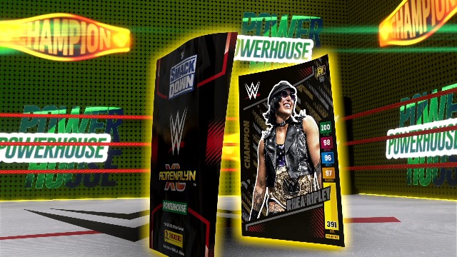 Panini WWE Trading Cards (Box mit 24 Tüten): Amazon.de: Spielzeug