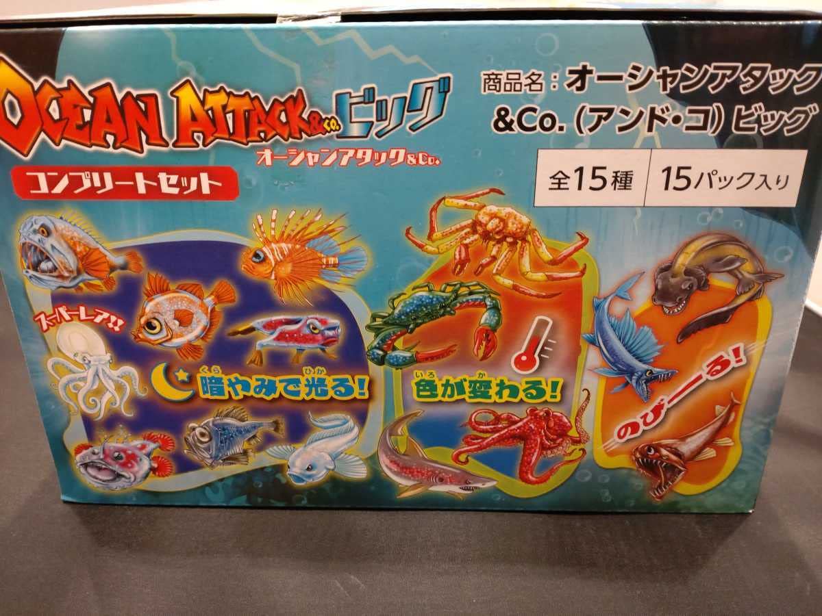 Amazon.co.jp: オーシャンアタック ＆CO.ビッグ コンプリートセット 全