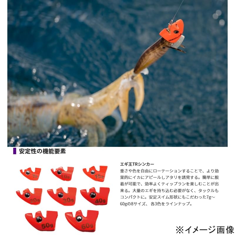 Amazon | ヤマシタ(YAMASHITA) エギ王 TRシンカー 入門セット EOTRSNS