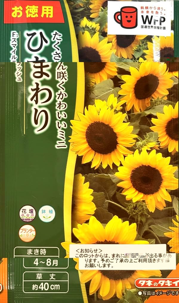 Amazon | タキイ種苗 徳用 ミニひまわり F1スマイルラッシュ | 野菜