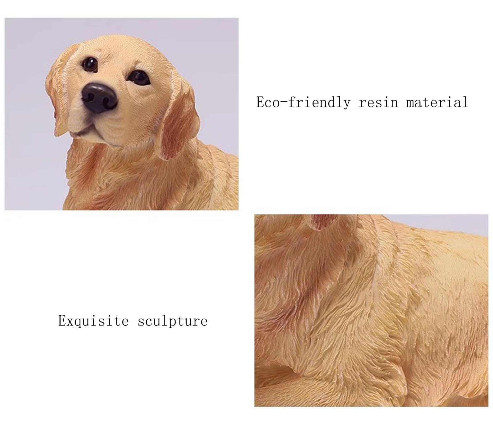 Amazon.co.jp: Wumudidi ゴールデンレトリバー, 横になっている, 姿勢