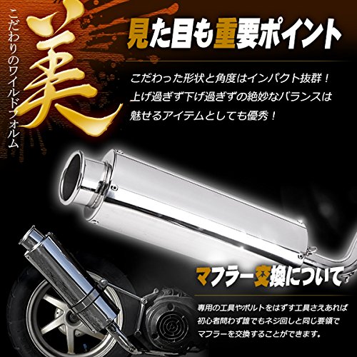 Amazon | ステンレス マフラー ライブディオZX ライブディオSR AF34