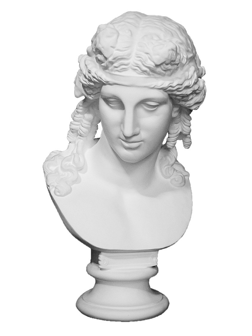 Amazon.co.jp: 石膏像 K－124 アリアス胸像 H．74cm : ホーム