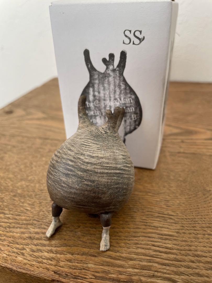 OZWRT TheCaudexMan pachypodiuman C SSサイズ Amazon.co.jp: OZWRT