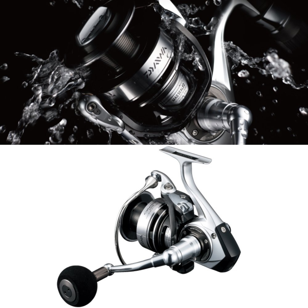 DAIWA 12 CATALINA 5000H (japan import) : Amazon.fr: Sports et Loisirs