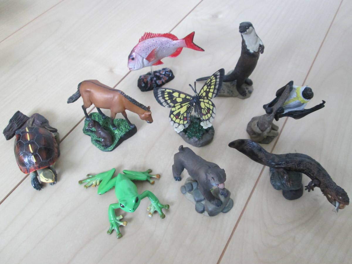 Amazon | 海洋堂 週刊日本の天然記念物フィギュア全種コンプリート+