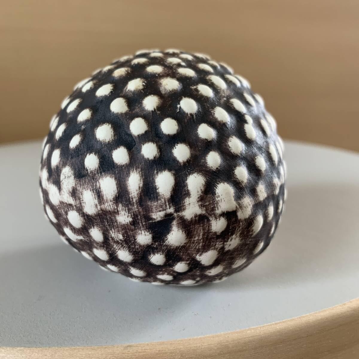 Amazon.co.jp: リサラーソン ハリネズミのハリー 限定 はりねずみ 完売