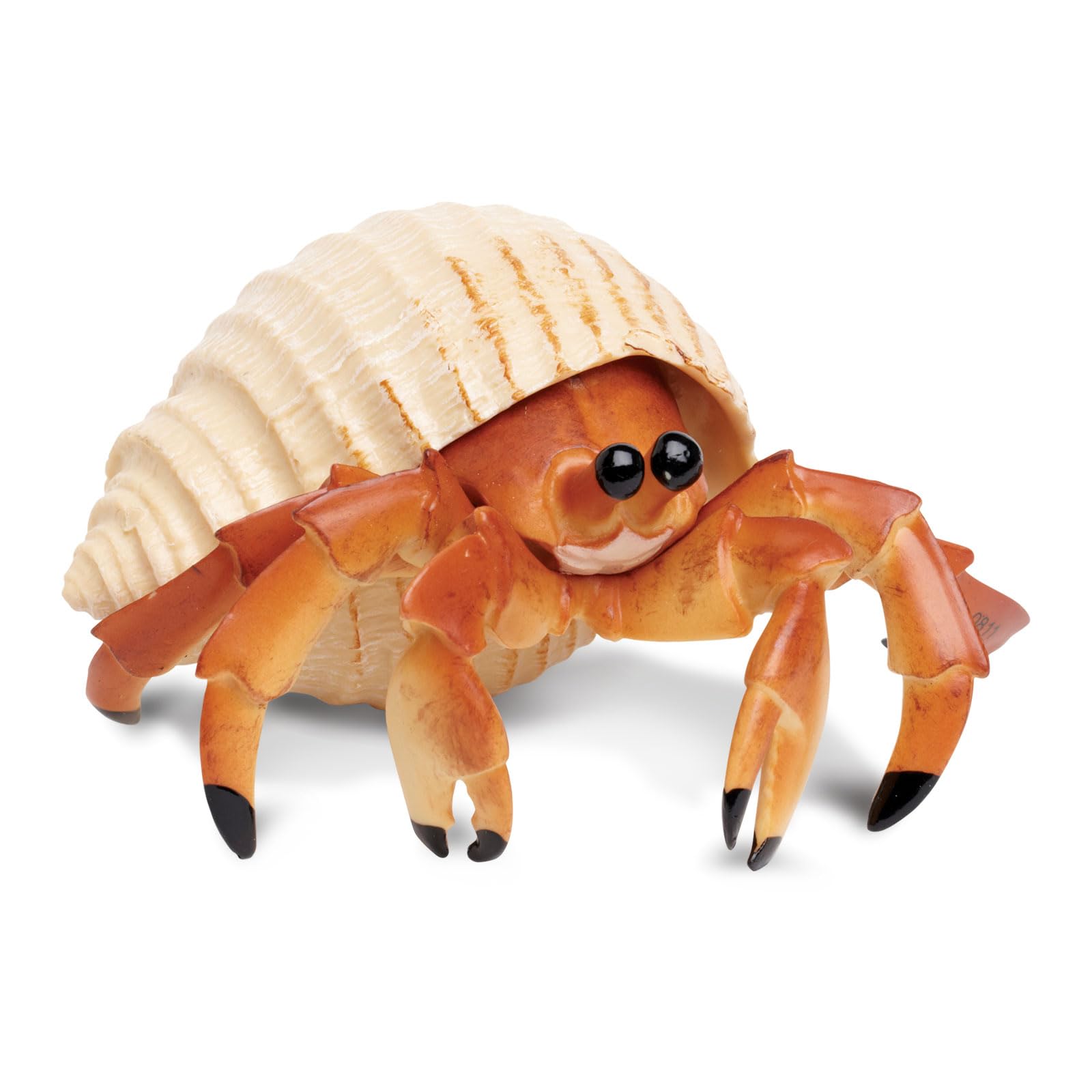 Amazon.com: Safari Ltd. Hermit Crab Figurine - Detailed 4.5