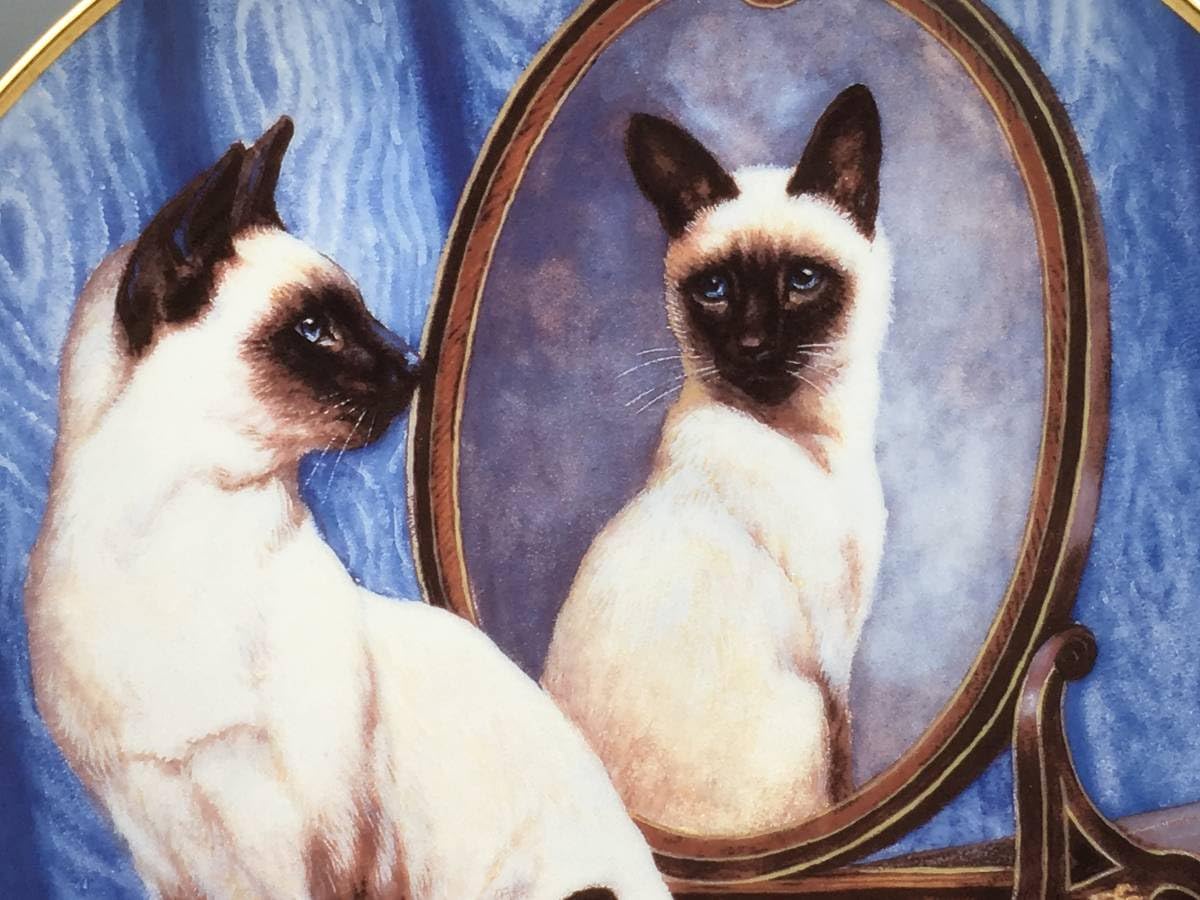 b 限定品フランクリンミント 飾り皿 テディーベアー と猫 6枚セット