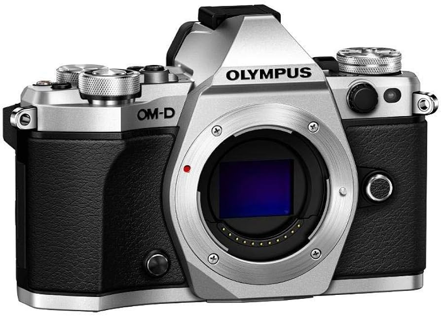 Amazon.com : OM SYSTEM Olympus OM-D E-M5 Mark II (Silver) (Body