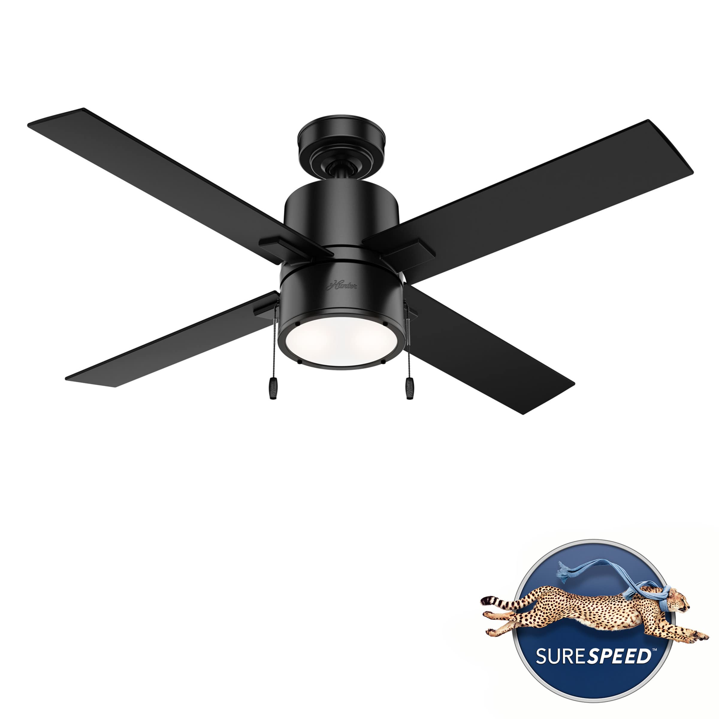 Hunter 52 inch Indoor Ceiling Fan with LED Light - Black Ceiling